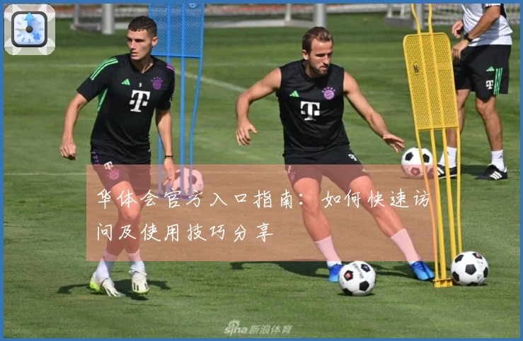 华体会官方入口指南：如何快速访问及使用技巧分享