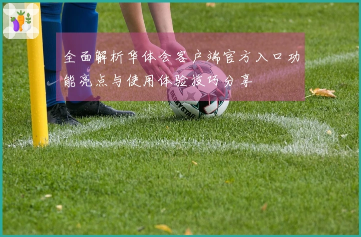 全面解析华体会客户端官方入口功能亮点与使用体验技巧分享